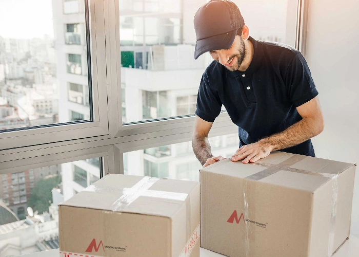 Man With A Van Brisbane